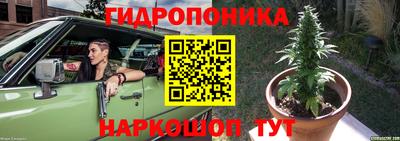спиды Кимры