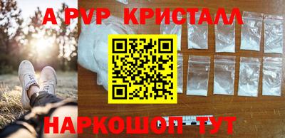 спиды Кимры