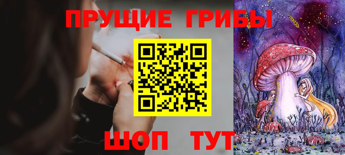 Псилоцибиновые грибы MAGIC MUSHROOMS  дарнет шоп  Вход с VPN  Глазов  Псилоцибиновые грибы Psilocybine cubensis 