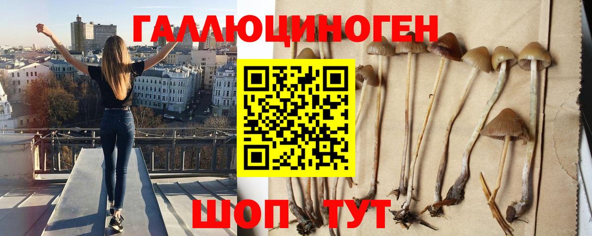 Галлюциногенные грибы мухоморы Глазов